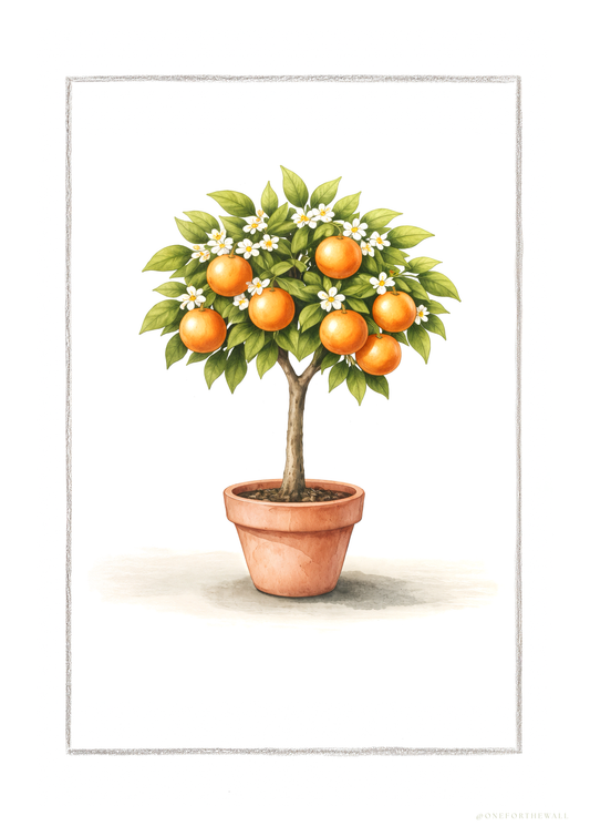 Appelsintræ - Art Print