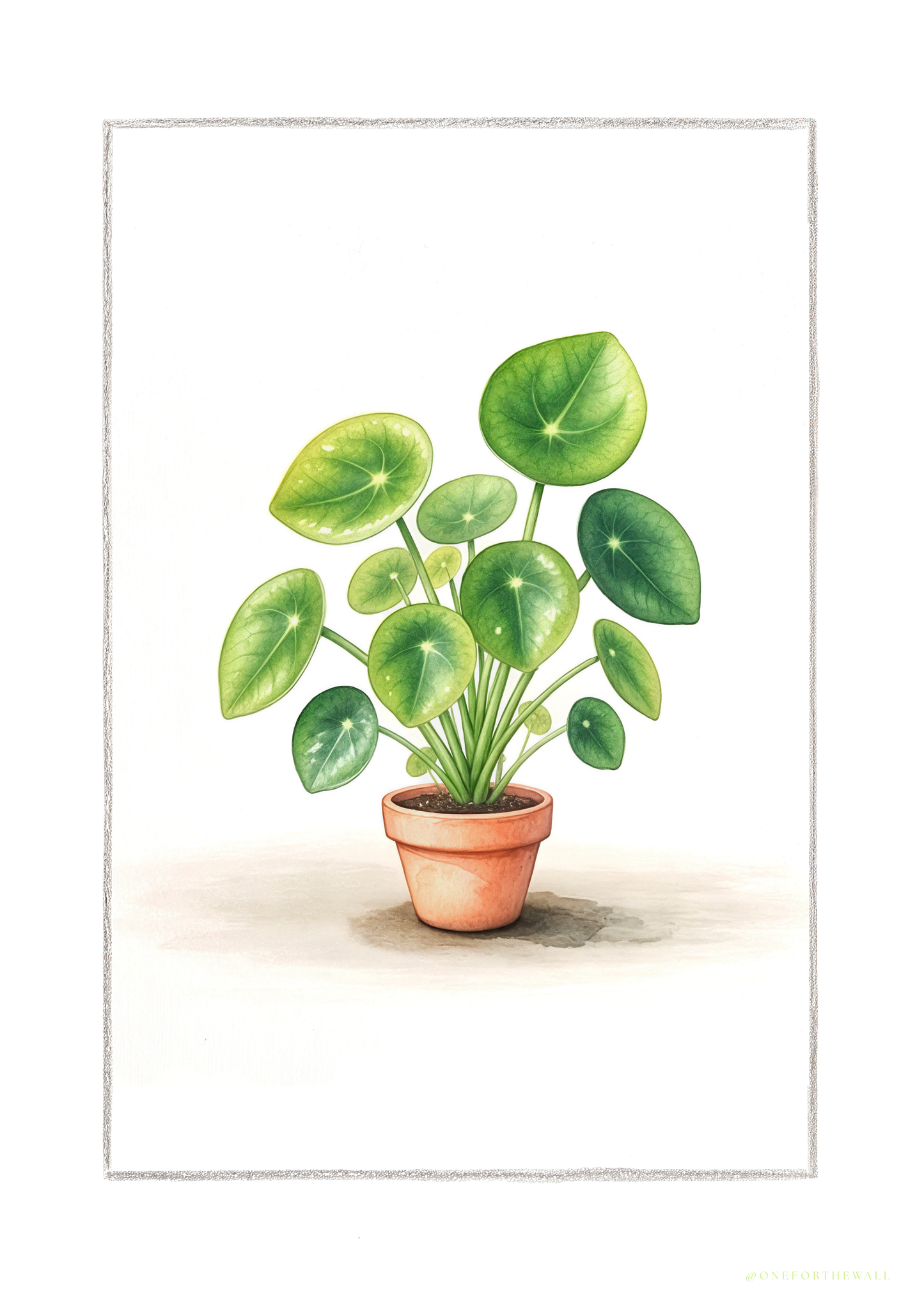 Pilea - Art Print