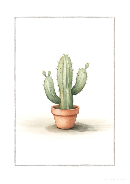 Kaktus Cereus - Art Print