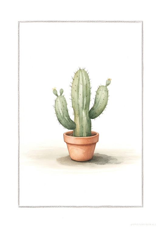 Kaktus Cereus - Art Print