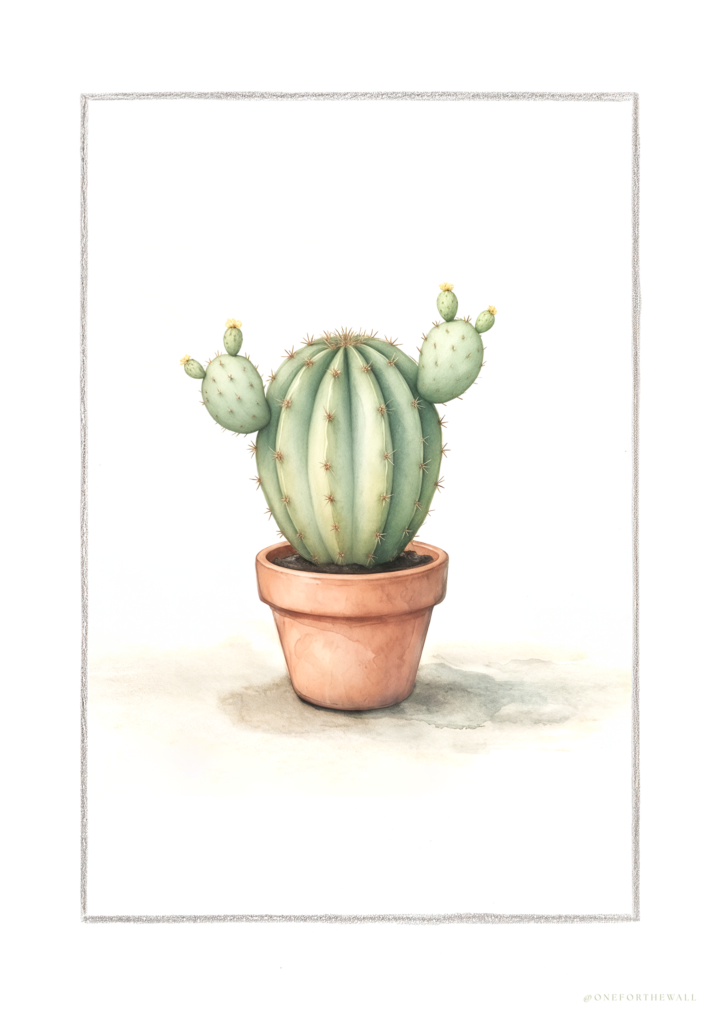 Kaktus Opuntia - Art Print