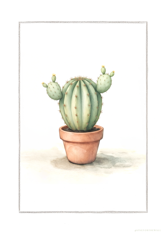 Kaktus Opuntia - Art Print