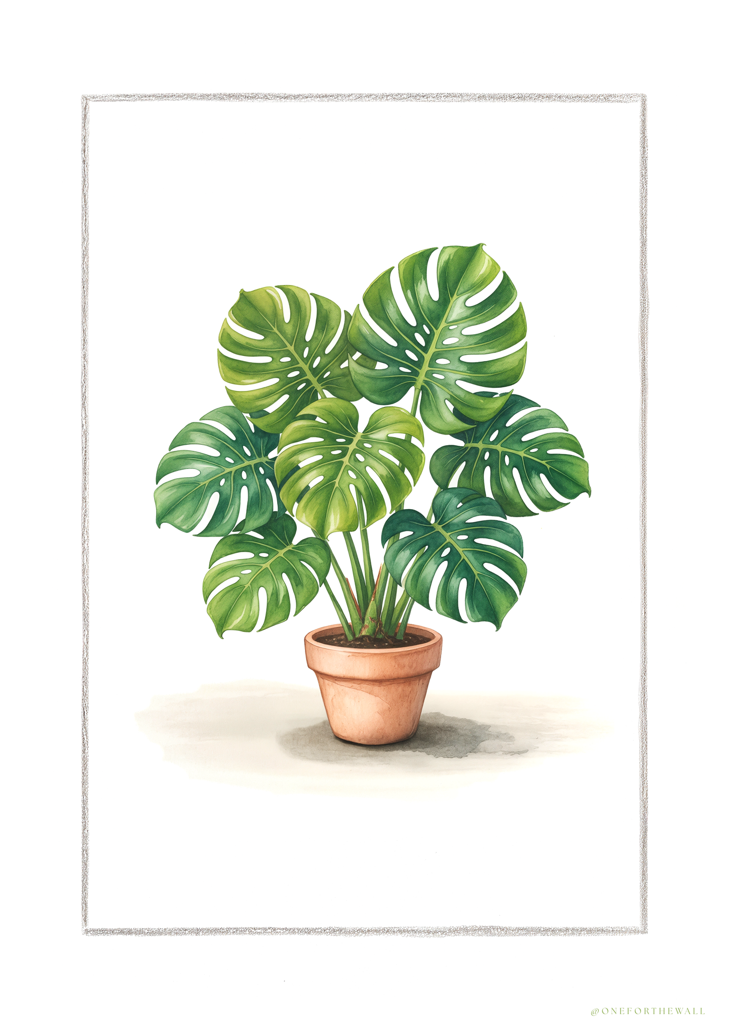 Monstera - Art Print
