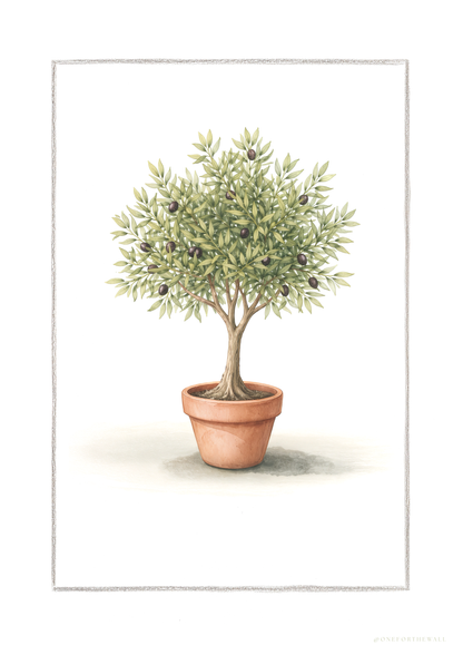 Oliventræ - Art Print