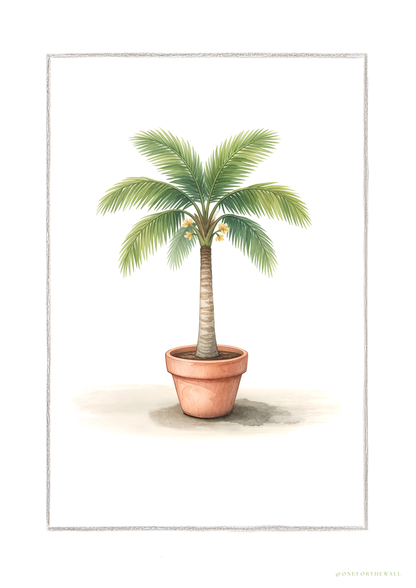 Palme - Art Print