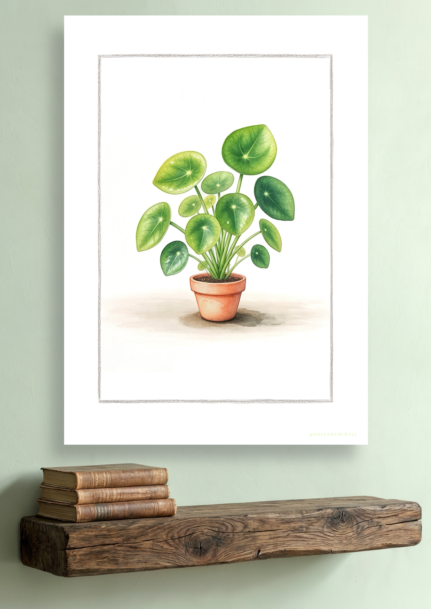 Pilea - Art Print