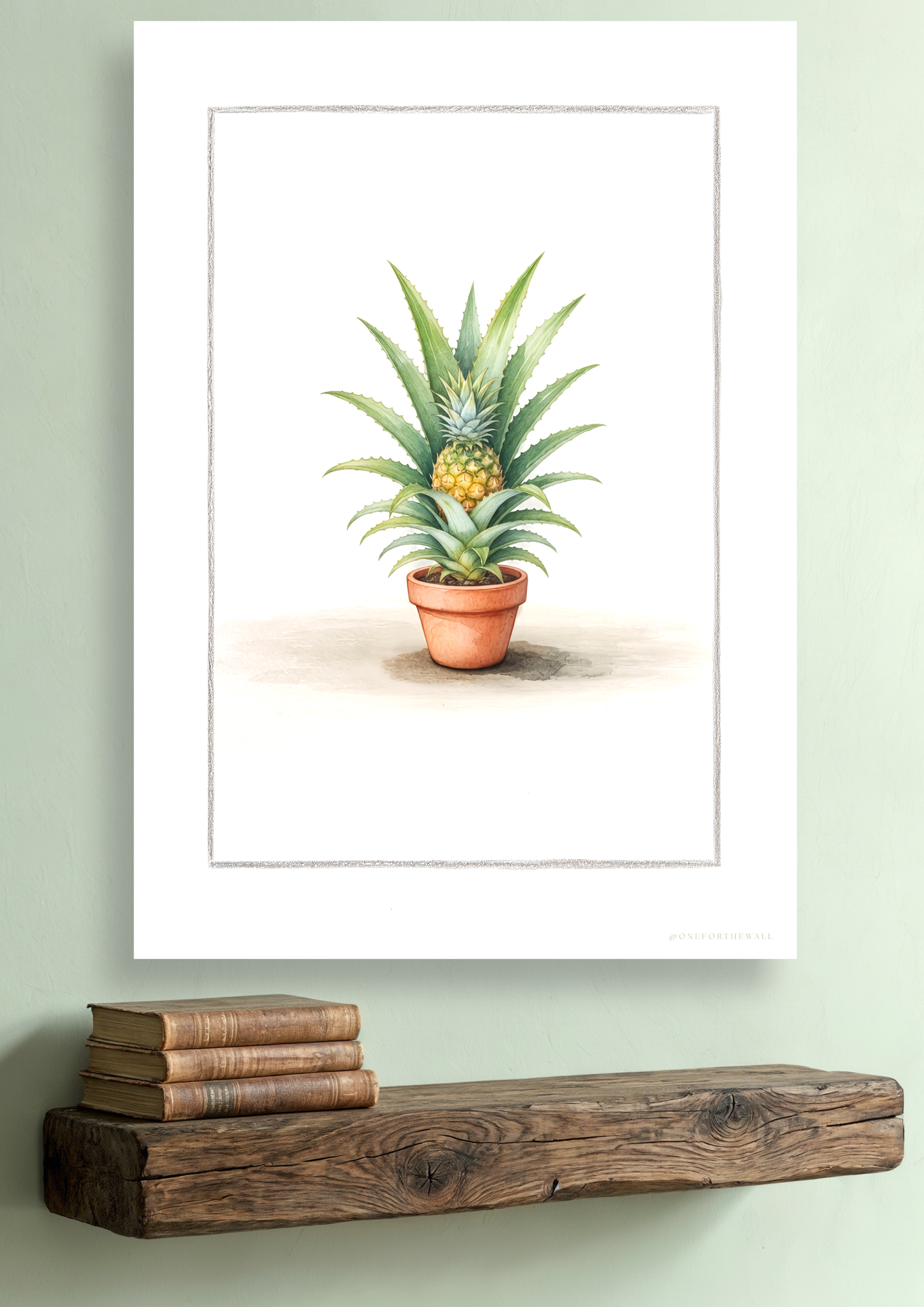 Ananas Comosus - Art Print