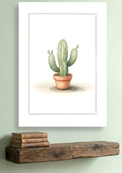 Kaktus Cereus - Art Print