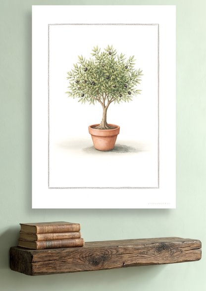 Oliventræ - Art Print