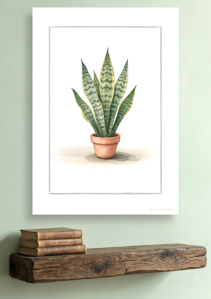 Sansevieria - Art Print