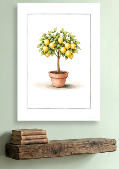 Citrontræ - Art Print