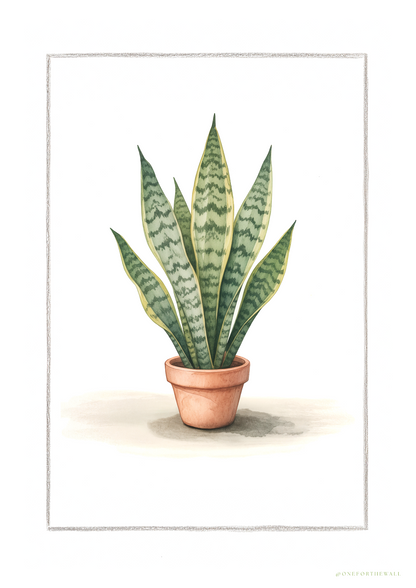 Illustreret plakat med svigermors tunge – nordisk minimalistisk botanisk motiv